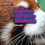 MIS Bigotes Son Largos y Blancos (Red Panda)