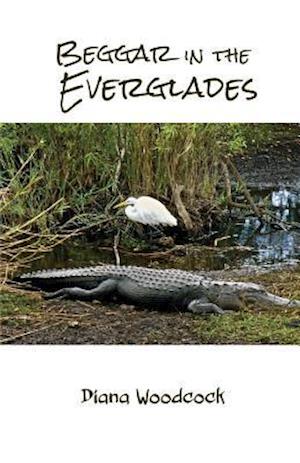 Beggar in the Everglades