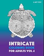 Intricate Coloring Book for Adults Vol 4