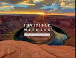 Invisible Witness