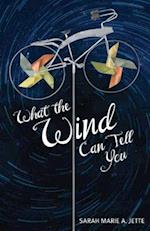 What the Wind Can Tell You