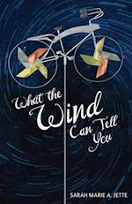 What the Wind Can Tell You