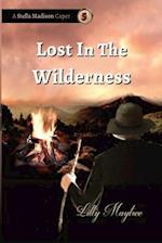 Lost In The Wilderness: A Stella Madison Caper 