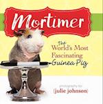 Mortimer, World's Most Fascinating Guinea Pig