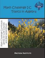 Math Challenge I-C Topics in Algebra