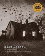 Bird Parade 