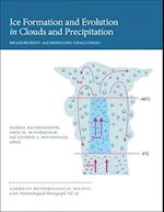 Ice Formation and Evolution in Clouds and Precipitation