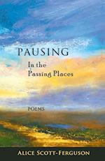 Pausing in the Passing Places