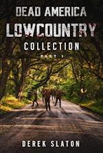 Dead America Lowcountry Collection Part 1 - Books 1 - 6 