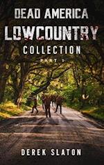 Dead America Lowcountry Collection Part 1 - Books 1 - 6 