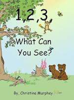 1, 2, 3, What Can You See? 