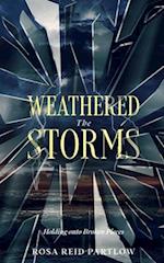 Weathered the Storms: Holding onto Broken Pieces 