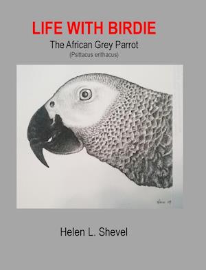 Life with Birdie, The African Grey Parrot