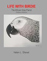 Life with Birdie, The African Grey Parrot 