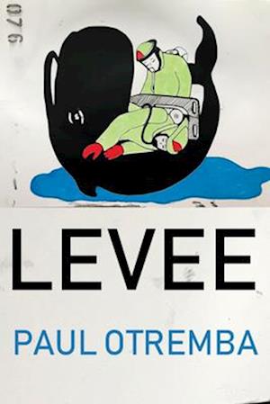 Levee