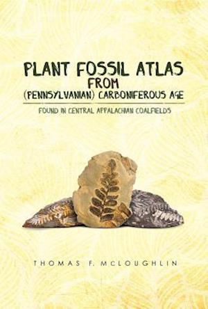 Plant Fossil Atlas From (Pennsylvanian) Carboniferous Age