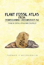 Plant Fossil Atlas From (Pennsylvanian) Carboniferous Age