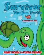 Survivor the Sea Turtle