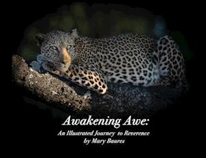 Awakening Awe: An Illustrated Journey to Reverence