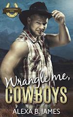 Wrangle Me, Cowboys