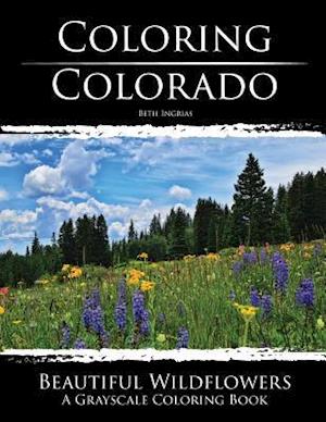 Coloring Colorado