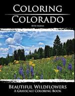 Coloring Colorado