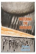 Watering the Rhubarb 