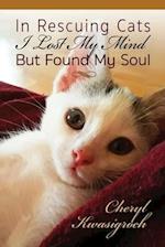 In Rescuing Cats I Lost My Mind But Found My Soul