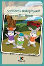 Saddexdii Bakeylayaal ee Yar Yaraa - Somali Children's Book - The Three Little Rabbits