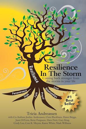 Resilience In The Storm