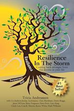 Resilience In The Storm: Coming Back Stronger From The Storms In Your Life 