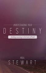 Understanding Destiny