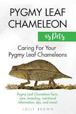 Pygmy Leaf Chameleons as Pets