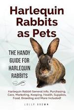 Harlequin Rabbits as Pets