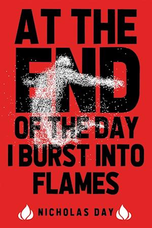 At The End Of The Day I Burst Into Flames