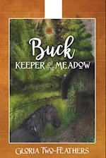 Buck Keeper of the Meadow 