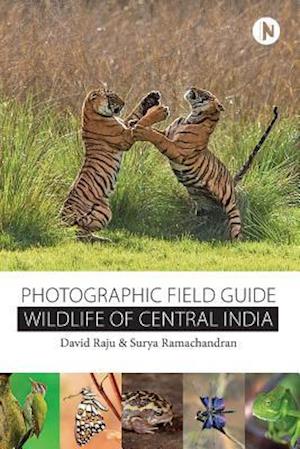 Wildlife of Central India
