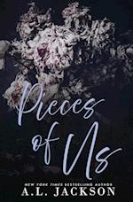 Pieces of Us (Alternative Cover)