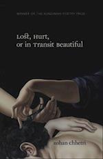 LOST, HURT, OR IN TRANSIT BEAUTIFUL