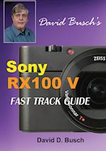 David Busch's Sony Cyber-Shot Dsc-Rx100 V Fast Track Guide
