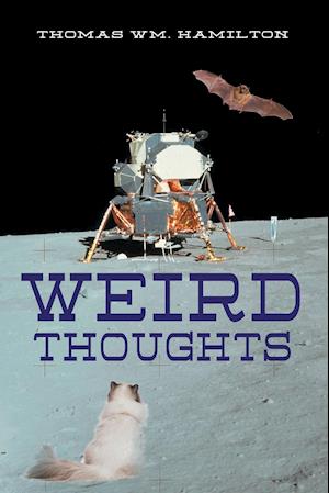 Weird Thoughts