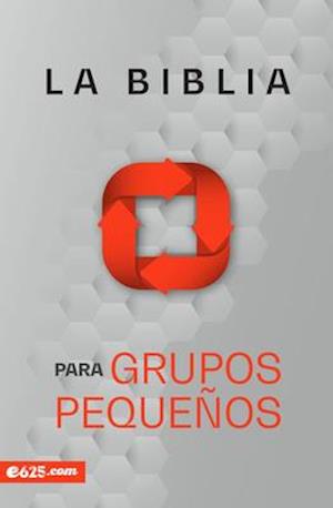 Biblia Para Grupos Pequeños - Nbv Rústica