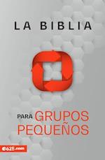 Biblia Para Grupos Pequeños - Nbv Rústica