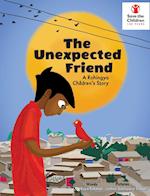 The Unexpected Friend - a Rohingya Children's Story