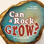 Can a Rock Grow? 