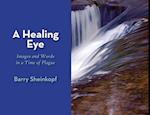 A Healing Eye: Images and Words in a Time of Plague 