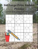 260 Large Print Sudoku Puzzles: Games that Challenge Your Brain 