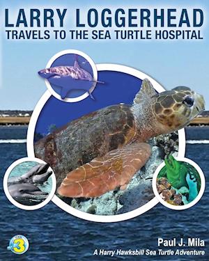 Larry Loggerhead Travels to the Sea Turtle Hospital