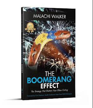 Boomerang Effect: The Boomerang Effect