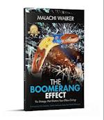 Boomerang Effect: The Boomerang Effect